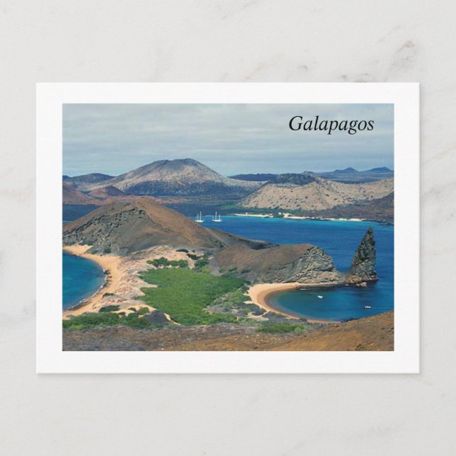 Galapagos - Ecuador Postcard (Front)