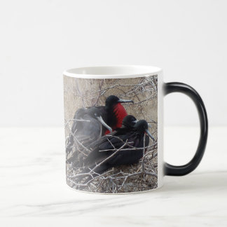 Galapagos Frigate Birds Color Morph Mug