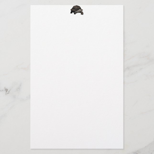 Galápagos/Galapagos Giant Tortoise Stationery (Front)