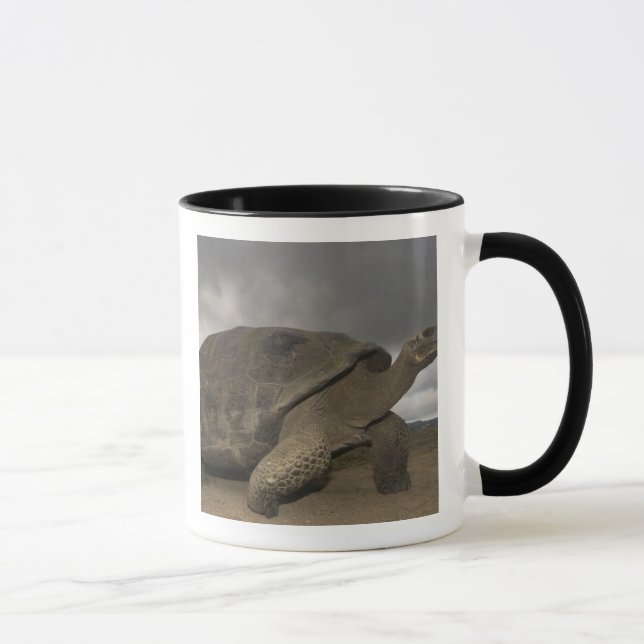 Galapagos Giant Tortoise Geochelone Mug (Right)