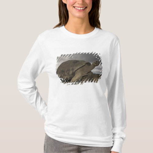 Galapagos Giant Tortoise Geochelone T_Shirt