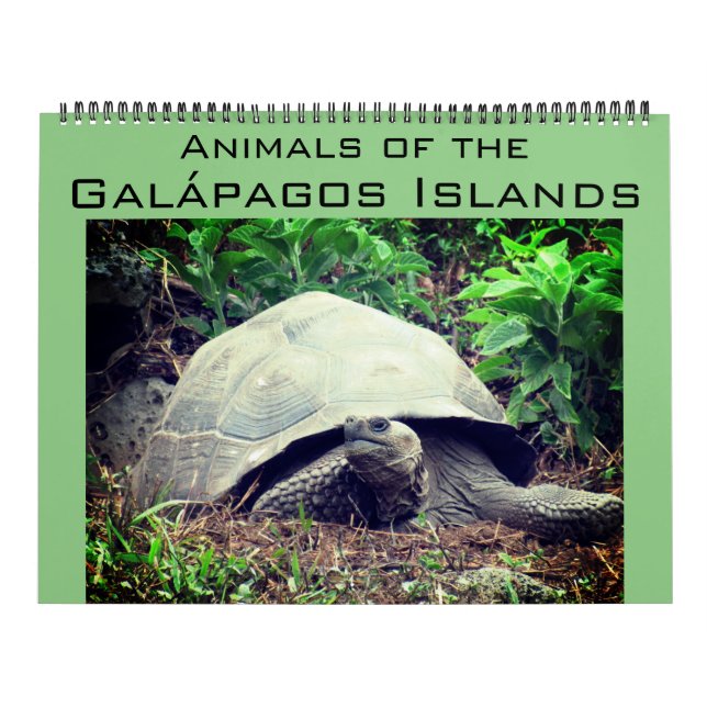 galapagos islands animals 2024 large calendar (Cover)