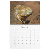 galapagos islands animals 2024 large calendar (Jan 2025)