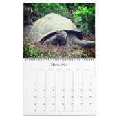 galapagos islands animals 2024 large calendar (Mar 2025)