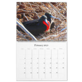 galapagos islands animals 2024 large calendar (Feb 2025)