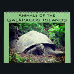 galapagos islands animals 2026 large calendar<br><div class="desc">Photographic any-year calendar featuring 12 scenes of the amazing wildlife of the Galápagos Islands, from marine iganuas, sea-lions, giant tortoises, penguins and more . Fully customizable calendar - makes a great gift. Available for any year and in a range of languages and holiday configurations. Remember to select your chosen year...</div>