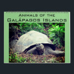 galapagos islands animals 2026 large calendar<br><div class="desc">Photographic any-year calendar featuring 12 scenes of the amazing wildlife of the Galápagos Islands, from marine iganuas, sea-lions, giant tortoises, penguins and more . Fully customizable calendar - makes a great gift. Available for any year and in a range of languages and holiday configurations. Remember to select your chosen year...</div>