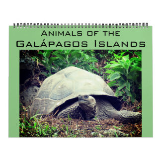 galapagos islands animals 2026 large calendar