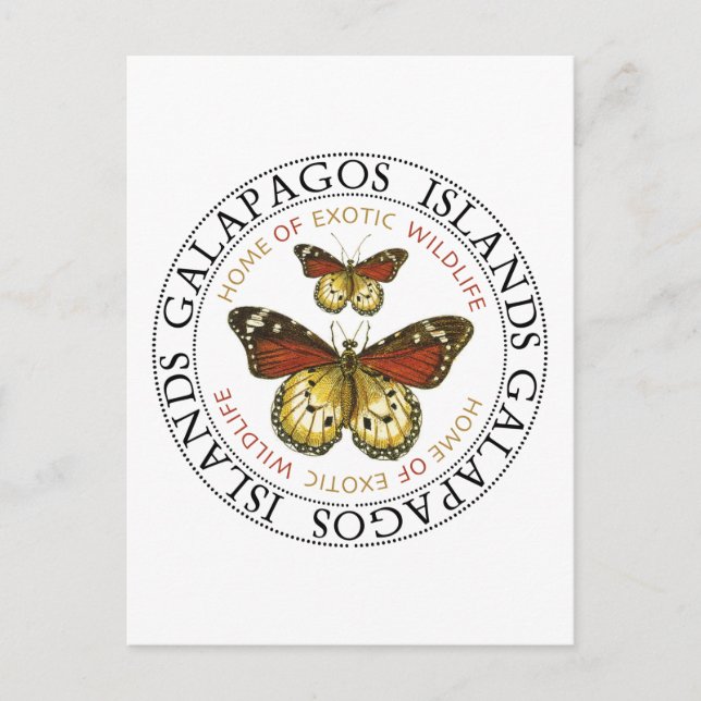 Galapagos Islands Butterflies Postcard (Front)