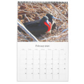 galapagos islands calendar (Feb 2025)