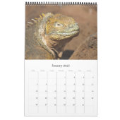 galapagos islands calendar (Jan 2025)