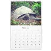 galapagos islands calendar (Mar 2025)
