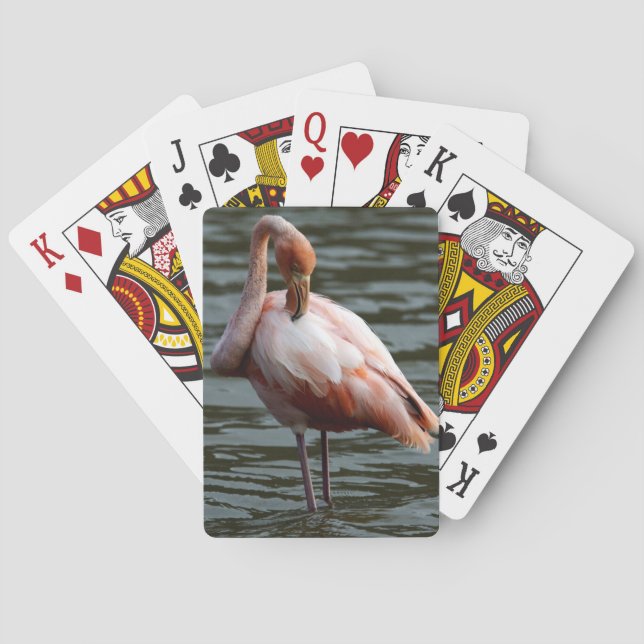 Galapagos Islands Flamingo Poker Cards (Back)