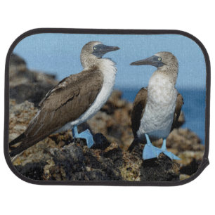 Galapagos Islands, Isabela Island Car Mat
