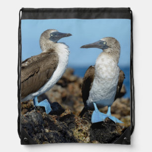 Galapagos Islands, Isabela Island Drawstring Bag