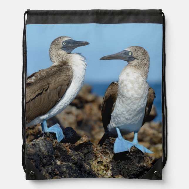 Galapagos Islands, Isabela Island Drawstring Bag (Front)