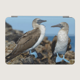 Galapagos Islands, Isabela Island iPad Mini Cover