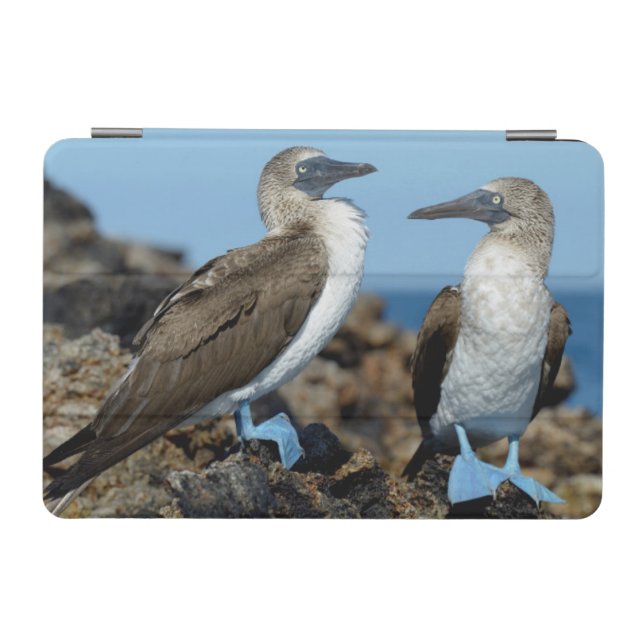 Galapagos Islands, Isabela Island iPad Mini Cover (Horizontal)