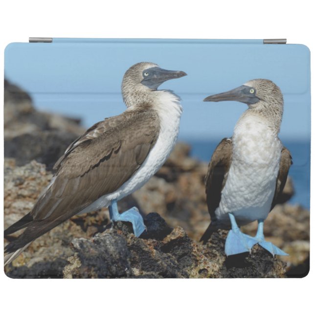 Galapagos Islands, Isabela Island iPad Smart Cover (Horizontal)