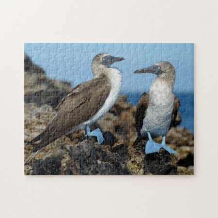 Galapagos Islands, Isabela Island Jigsaw Puzzle