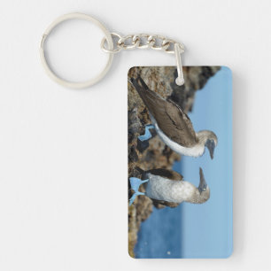 Galapagos Islands, Isabela Island Keychain