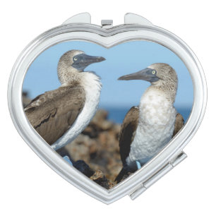 Galapagos Islands, Isabela Island Mirror For Makeup
