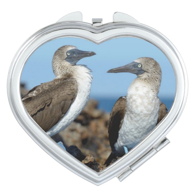 Galapagos Islands, Isabela Island Mirror For Makeup (Front)