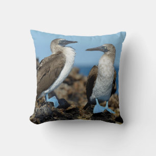 Galapagos Islands, Isabela Island Throw Pillow