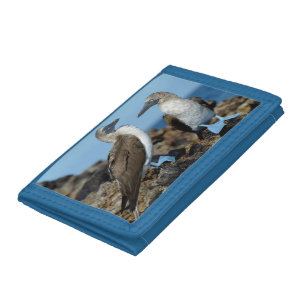 Galapagos Islands, Isabela Island Tri-fold Wallet