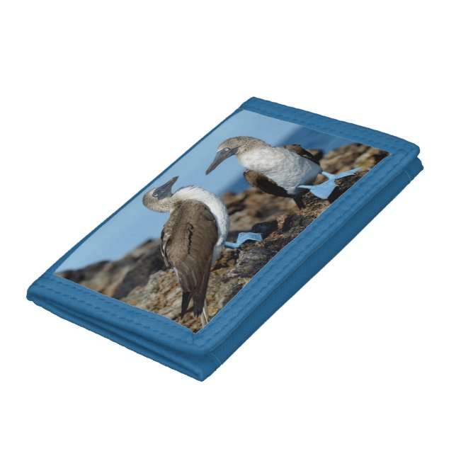 Galapagos Islands, Isabela Island Trifold Wallet (Bottom)