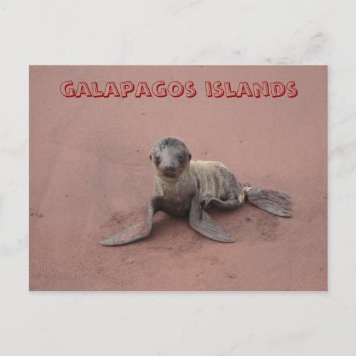 galapagos islands postcard