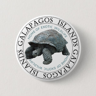 Galapagos Islands Tortoise Button