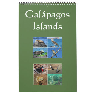 galapagos islands wildlife calendar
