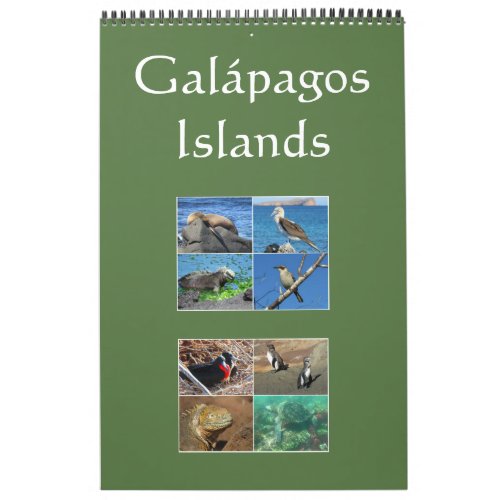 galapagos islands wildlife calendar