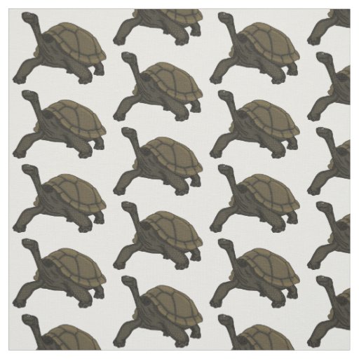 Galapagos land tortoise illustration  fabric