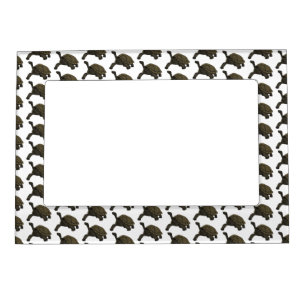 Galapagos land tortoise illustration magnetic frame