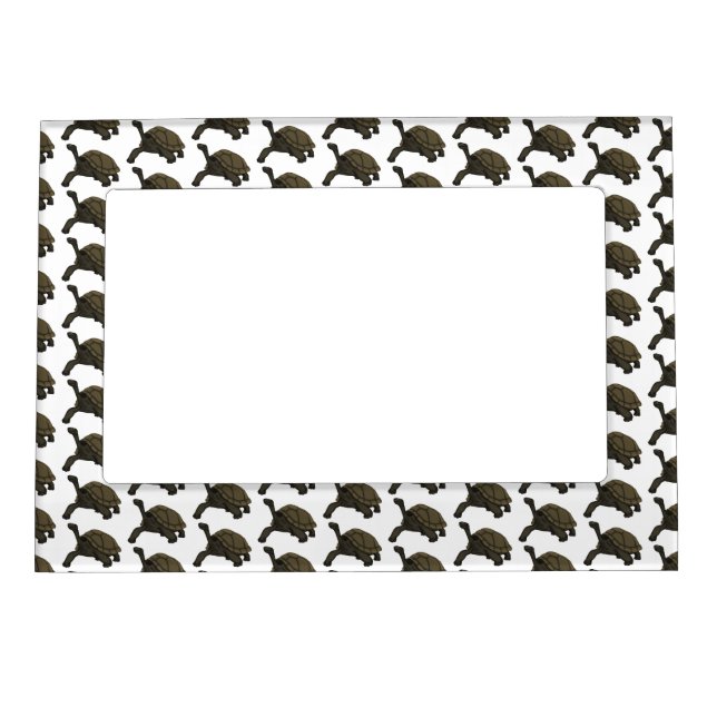 Galapagos land tortoise illustration magnetic frame (Front)