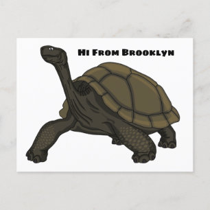 Galapagos land tortoise illustration postcard