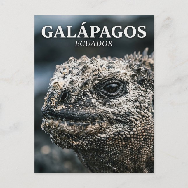 Galápagos National Park Ecuador Postcard (Front)