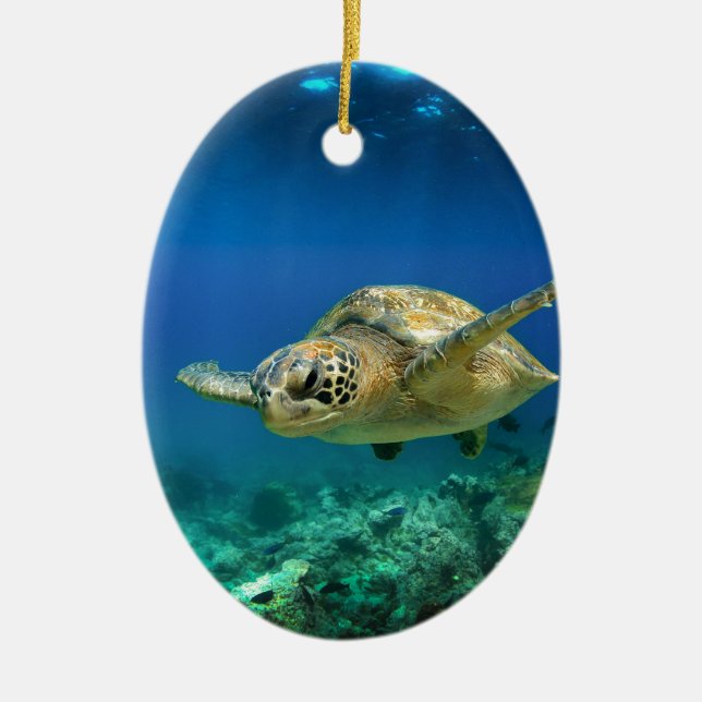 Galapagos paradise green sea turtle underwater ceramic ornament (Front)