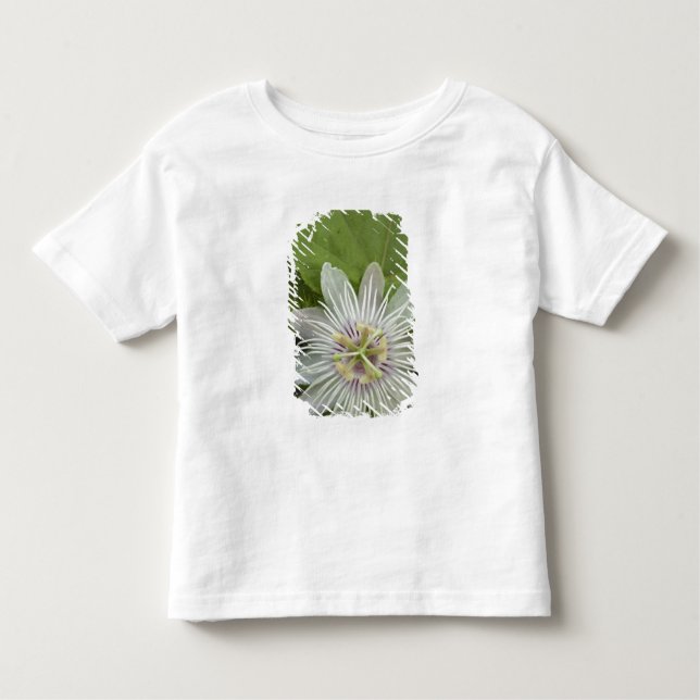 Galapagos Passion Flower Passiflora foetida Toddler T-shirt (Front)