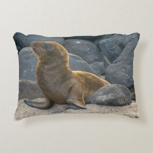 Galapagos Sea Lion Accent Pillow