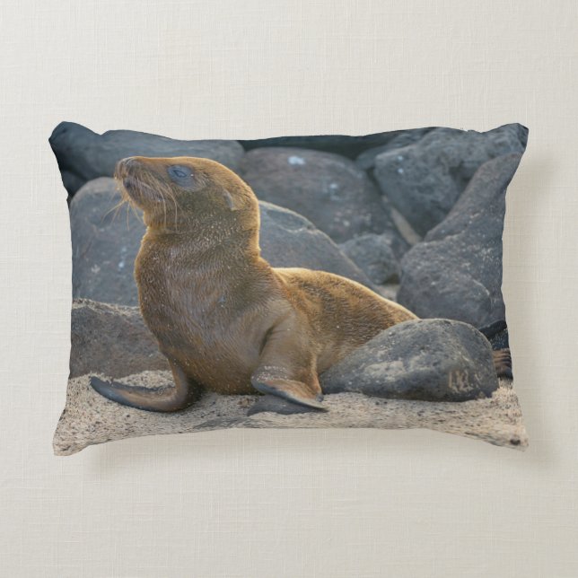 Galapagos Sea Lion Accent Pillow (Front)
