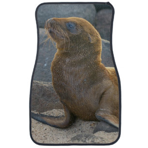Galapagos Sea Lion Car Floor Mat
