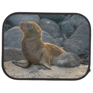 Galapagos Sea Lion Car Floor Mat