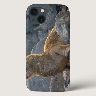 Galapagos Sea Lion iPhone 13 Case