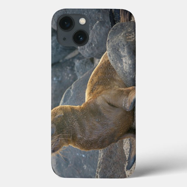 Galapagos Sea Lion Case-Mate iPhone Case (Back)
