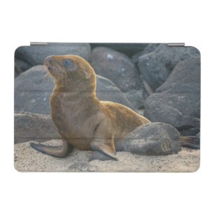 Galapagos Sea Lion iPad Mini Cover
