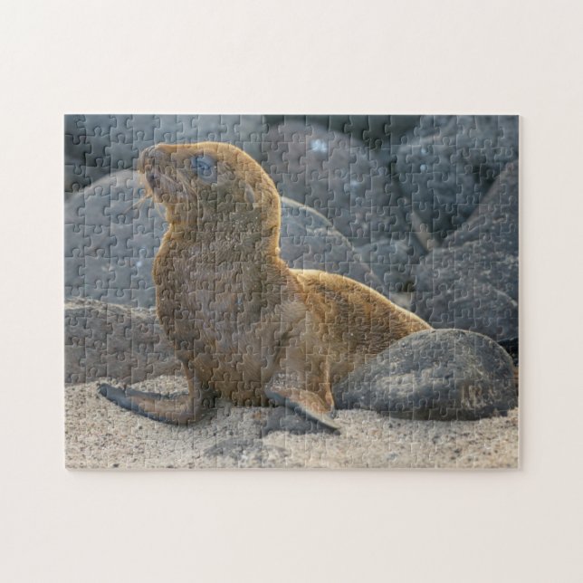 Galapagos Sea Lion Jigsaw Puzzle (Horizontal)