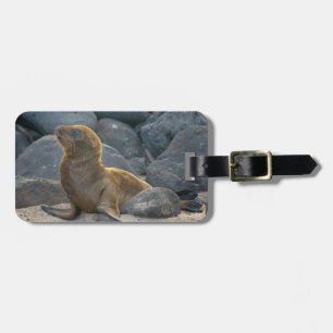 Galapagos Sea Lion Luggage Tag